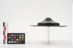 Foto von Bronzephalere (NHMW-PRAE-025105)